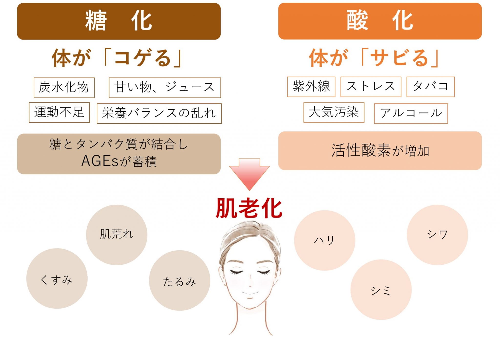 糖化・酸化ストレス検査 たるみ治療と美肌づくりはダリア銀座スキンクリニック