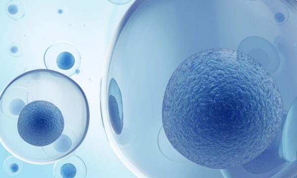 幹細胞美容液