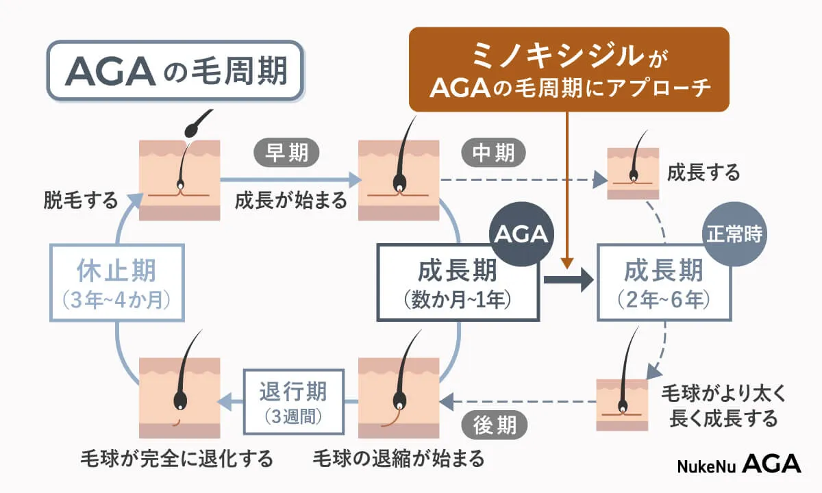 ヘアサイクル