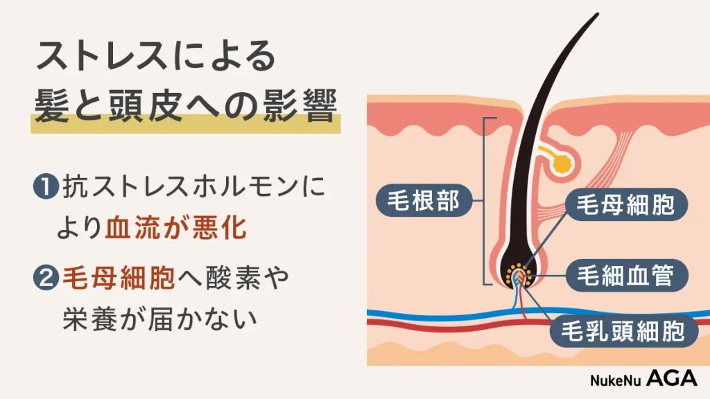 ストレスによる頭皮への影響